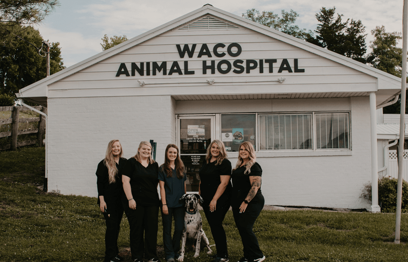 Advanced Animal Care - Locations in Richmond, Berea, & Waco