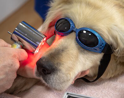 Laser Therapy