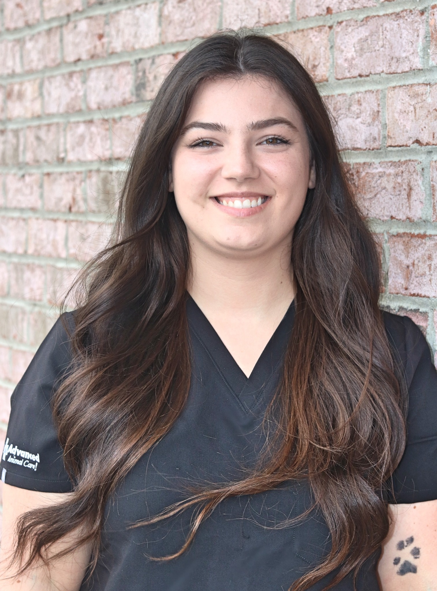 Dr. Hamilton