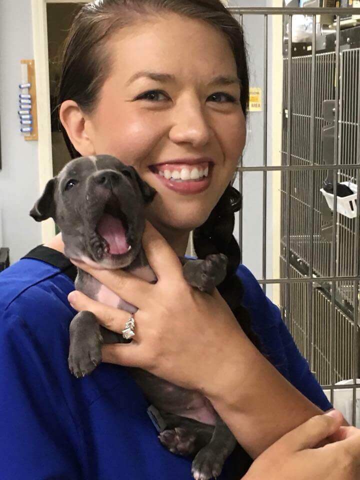 New Puppy