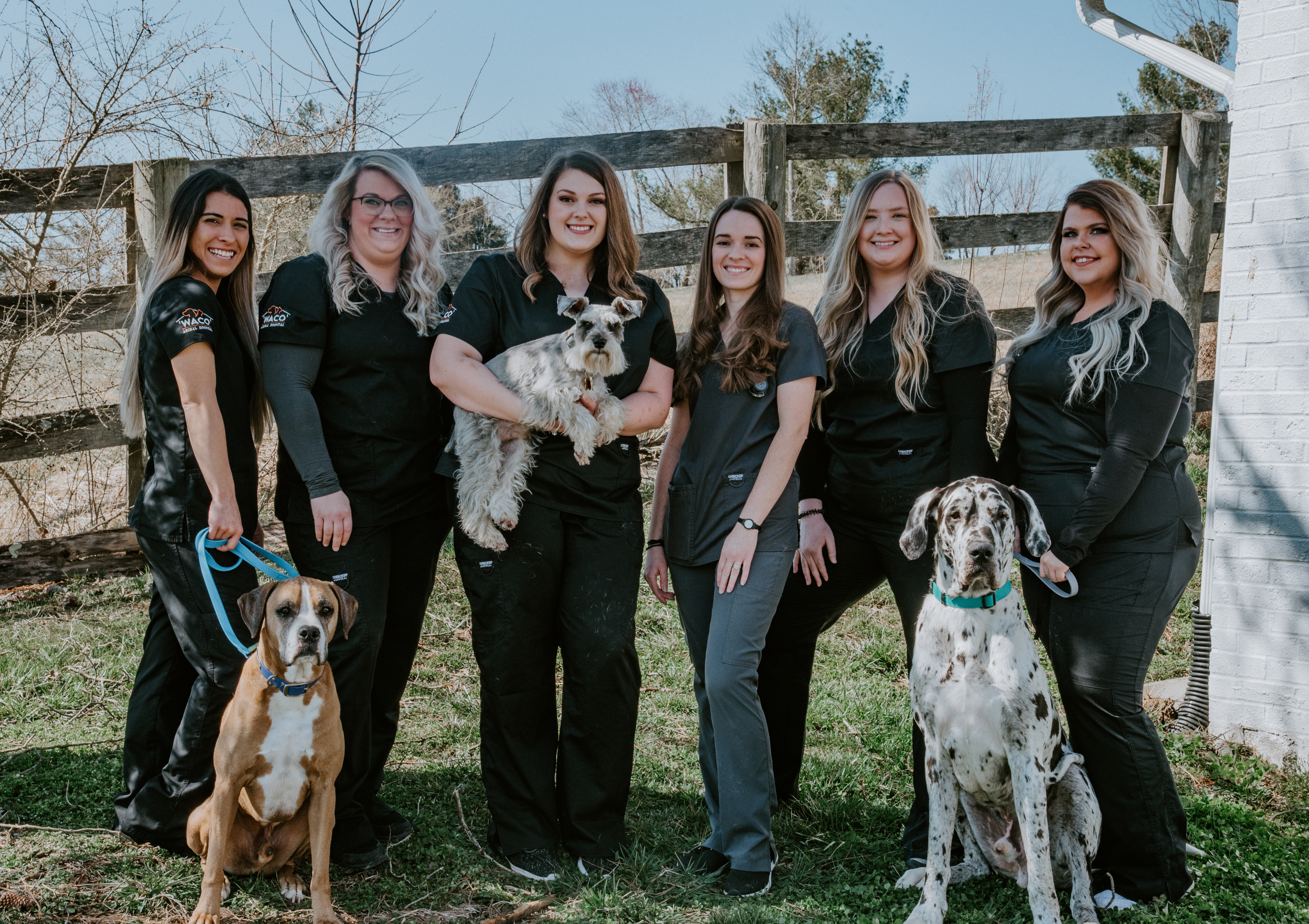Advanced Animal Care Waco Dr. Crank and Team
