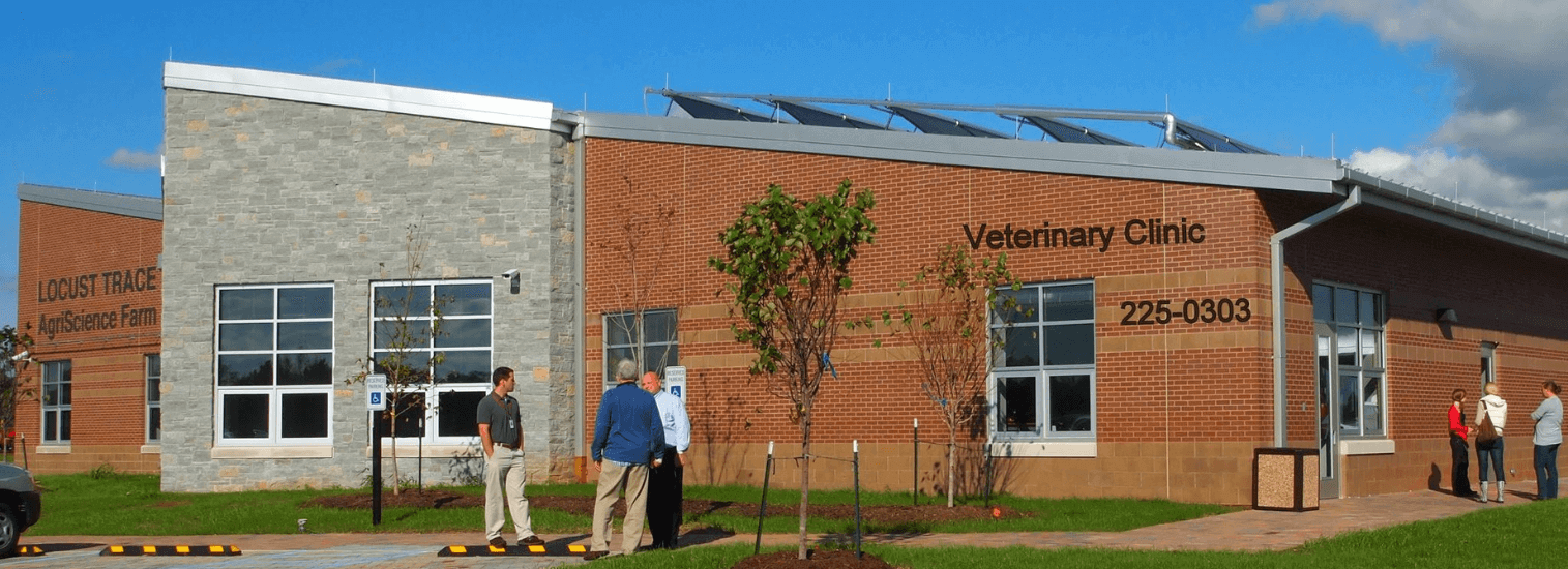 Top Rated Local Veterinarians Advanced Animal Care