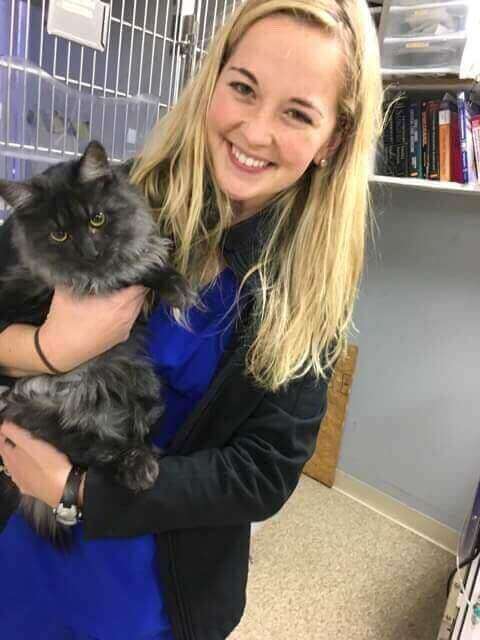 vet tech holding cat 