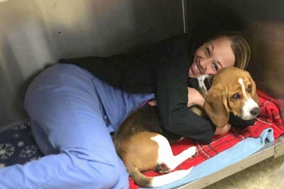 vet tech in kennel with dog