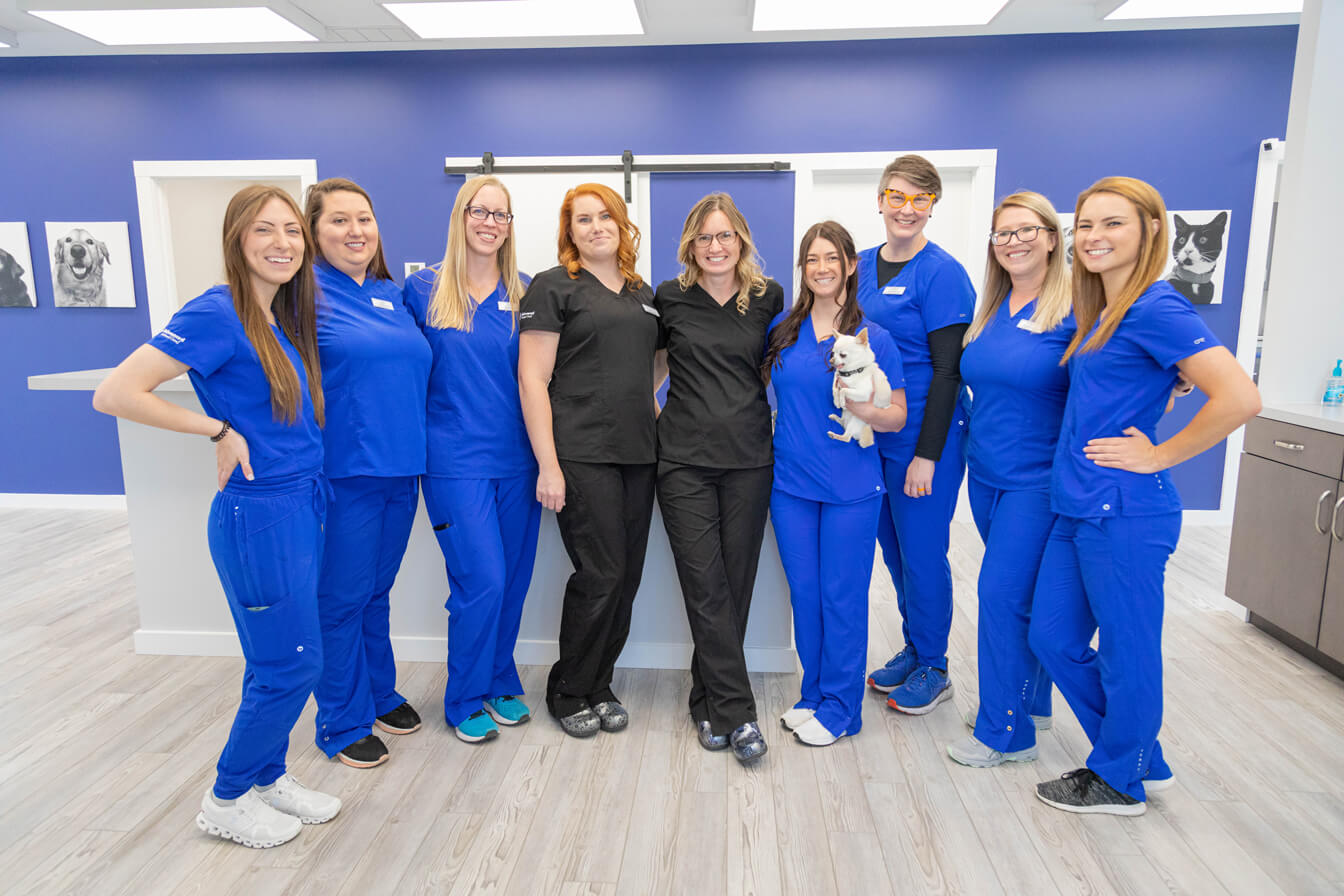 Berea Kentucky Veterinarians
