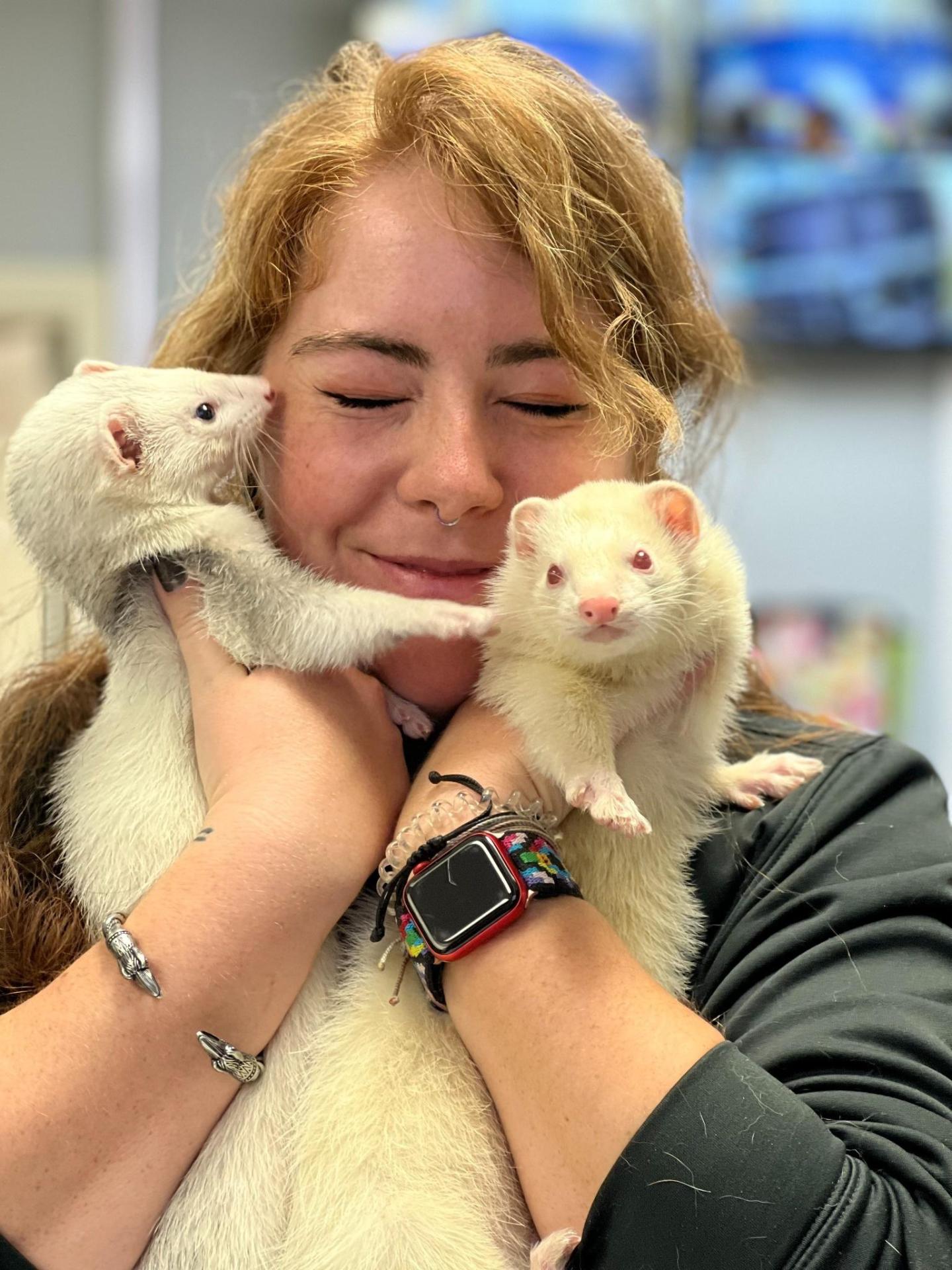 ferret