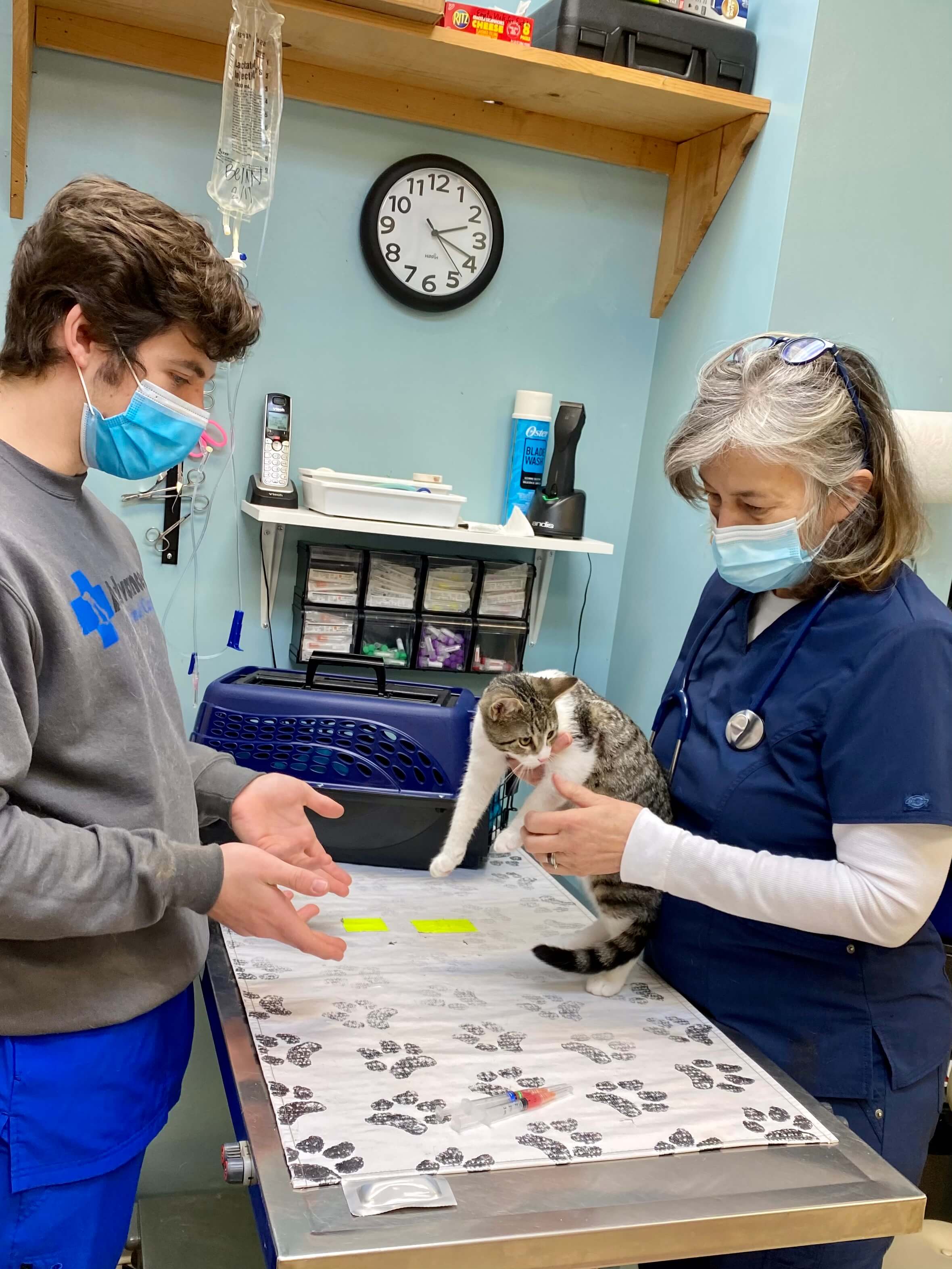 Advanced Animal Care Berea Berea, KY Veterinarians
