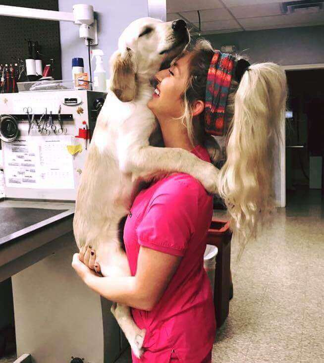 vet tech hugging puppy
