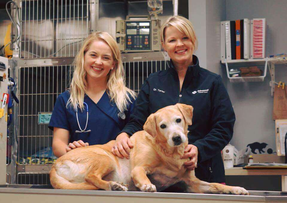 vet and vet tech with smiling dog 