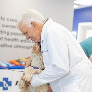 decor image on Advanced Animal Care	