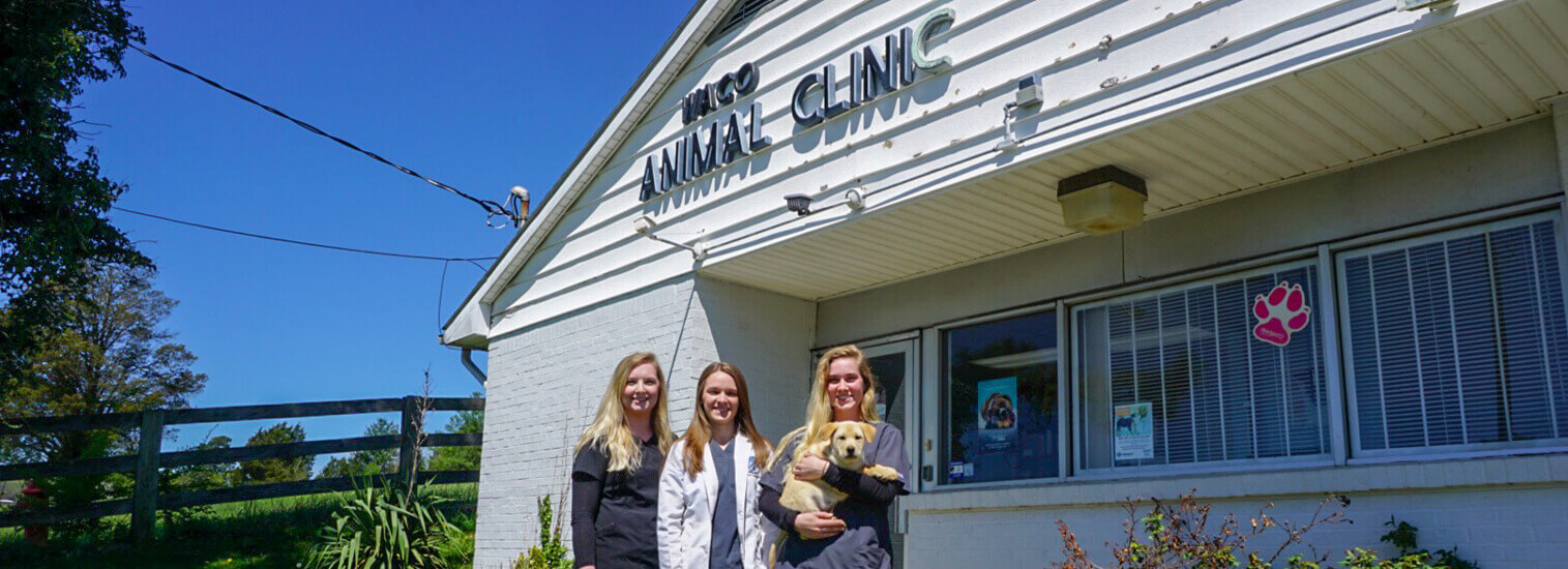 Top Rated Local Veterinarians Advanced Animal Care